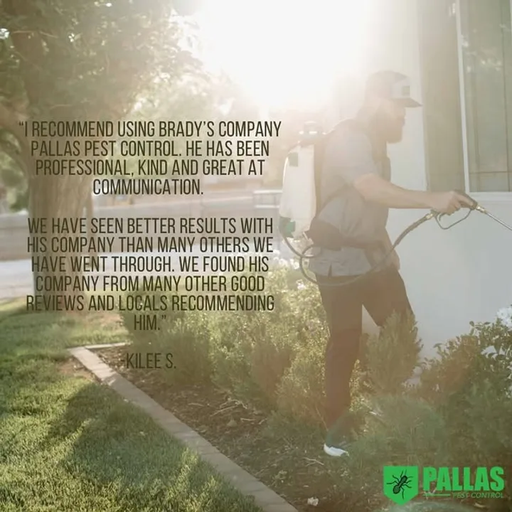 A five-star customer review of Pallas Pest Control